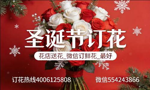 ���ݷ��ػ���